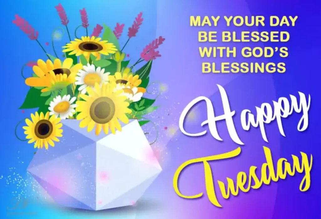 blessed tuesday