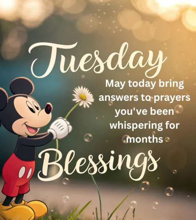 blessed tuesday