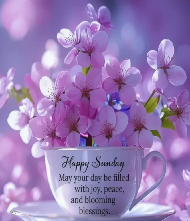 sunday blessings