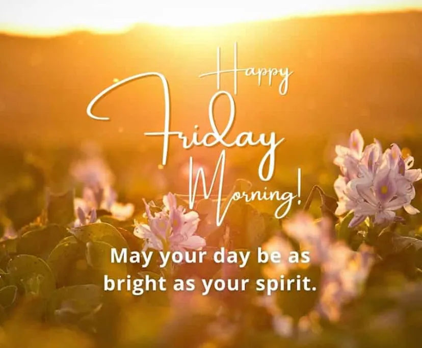 93+ Blessed Friday Wishes, Prayers, and Weekend Blessings to Share