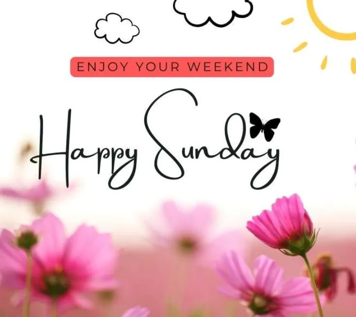 93+ Blessed Sunday Blessings, Quotes & Bible Verses to Fill Your Day With Peace