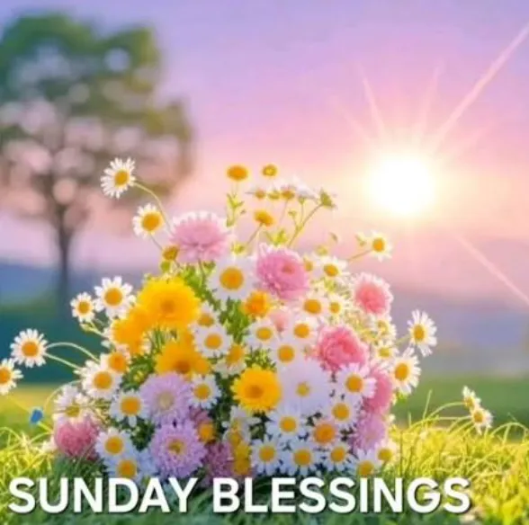 93+ Blessed Sunday Blessings, Quotes & Bible Verses to Fill Your Day With Peace