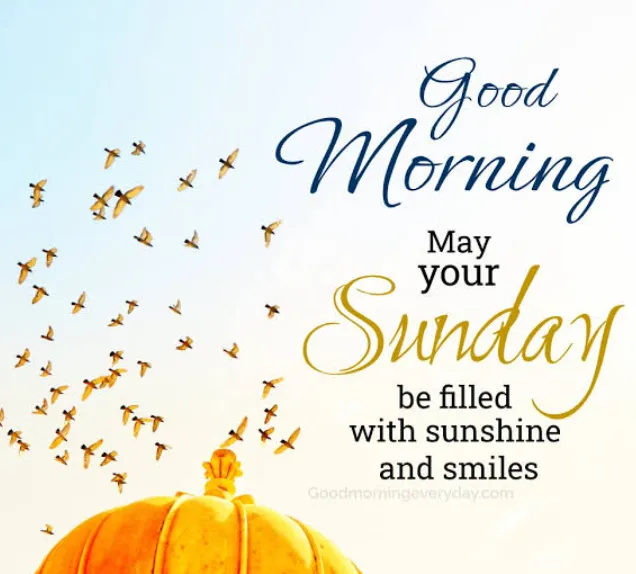 99+ Good Morning Sunday Blessings to Fill Your Day With Peace, Joy, and Hope